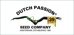 Copyright© Dutch Passion 