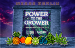 © 2025 Erik Seidel, foodadvisorblog