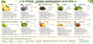 © 2026 Erik Seidel, foodadvisorblog
