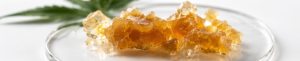© 2026 Erik Seidel, foodadvisorblog